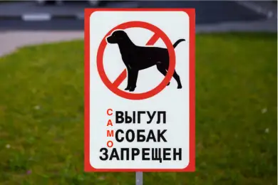 Казахстанцам запретят самовыгул собак и обяжут зарегистрировать своих животных 