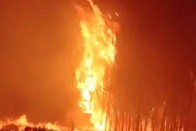 В Костанайской области сильные лесные пожары, глава МЧС вылетел в регион - видео 
