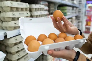 «Контрактов пока нет»: когда начнутся поставки куриного яйца из Казахстана в Россию 