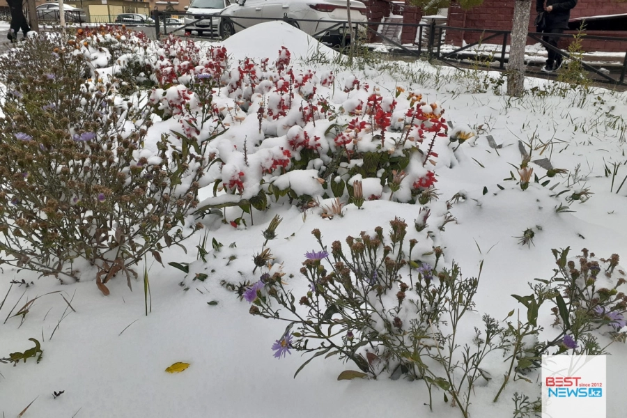 Первый снег в Нур-Султане - фото 