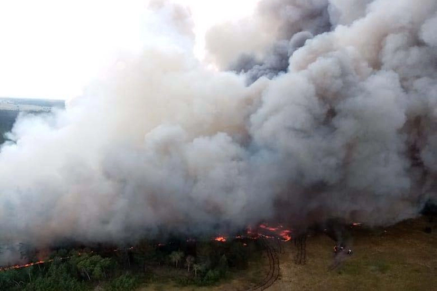 В Павлодарской области горел лес в резервате - фото 