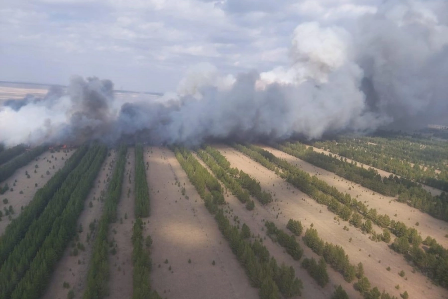 Пожар в резервате «Ертіс орманы» в Павлодарской области локализован 