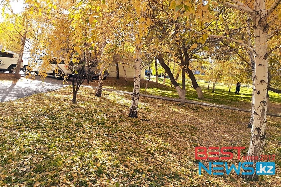Осадки и потепление: погода по Казахстану на 24-26 октября  